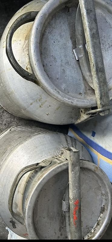 пекарский печь: Продаю Фляги Алюминий.СССР — 2