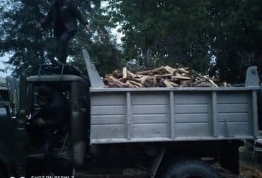 уголь отбор: Дрова — 3