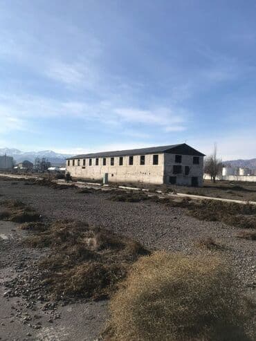 балыкчы дом купить: 2455 соток, Для бизнеса — 1