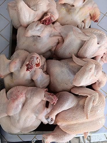 Продукты питания: Здрастуйте друзя Продаю мясо курицы(бройлерный) по 300 сом за 1 кг — 2