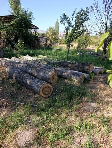 дрова скупка: Предлагаются к продаже деревянные бревна, идеально подходящие для — 2