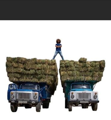 Куплю | Другие с/х животные