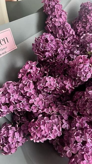 цветы опт: Куплю колерованный сирень оптом! Цена договорная — 1