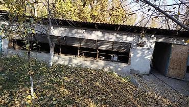 дом пр: Дом с большим двором и хозяйственными постройками - Частный дом с — 3