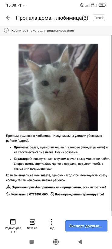 клариевый сом: Белая пушистая кошка с выразительными темными отметинами на голове и у — 9