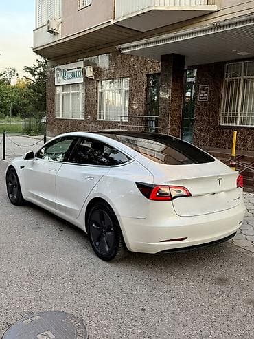 шар тесла: Tesla Model 3: 2020 г., Автомат, Электромобиль, Седан — 7