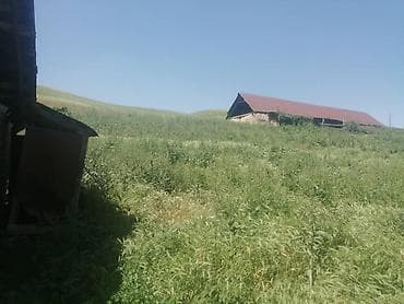 дом с участком: Продается сельхозобъект с участком в живописной холмистой местности — 2