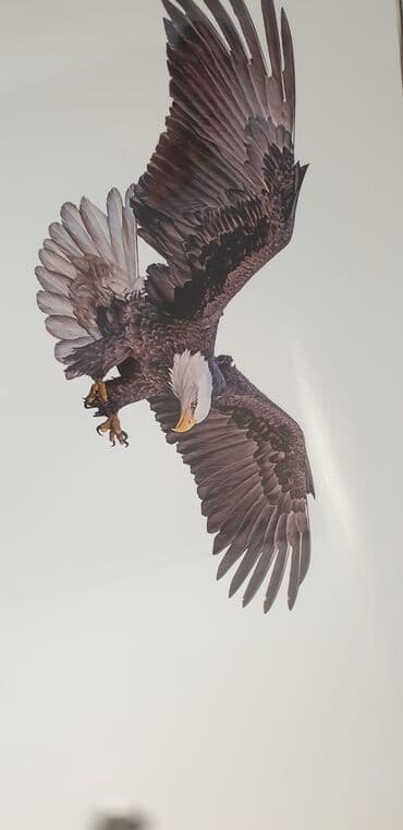 надувной матрас бишкек цена: Натяжной потолок Глянцевое, 3D потолки, Матовое — 7