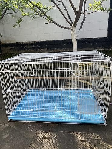 попугая: Просторная клетка для птиц - Материал: металлическая решётка с белым — 2