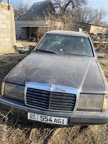 январь эбу: Mercedes-Benz E-Class: 1989 г., 2.3 л, Ручные, Дизель, Седан — 1
