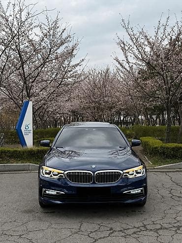 BMW 5 series: 2019 г., 2 л, Бензин, Седан at lalafo.kg BMW 5 series: 2019 г., 2 л, Бензин, Седан