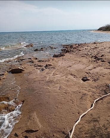 участок новостройка: 6 соток, Для бизнеса, Красная книга, Договор купли-продажи — 3