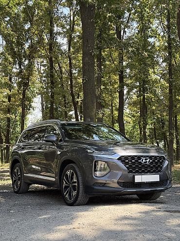 2025: Hyundai Santa Fe: 2019 г., 2 л, Автомат, Дизель, Кроссовер — 4