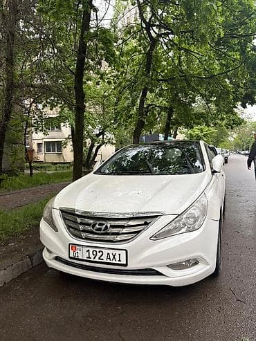 желтый соната: Hyundai Sonata: 2010 г., 2 л, Автомат, Газ, Седан — 1
