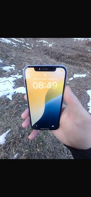 IPhone 12, 256 ГБ, Чехол, 88 %