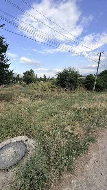 4 соток, Курулуш, Кызыл китеп — 7