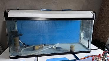 муравейная ферма: Аквариум с крышкой и оборудованием - Прямоугольный стеклянный — 1