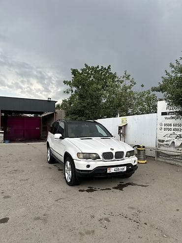 BMW X5: 2001 г., 4.4 л, Автомат, Бензин, Кроссовер — 1