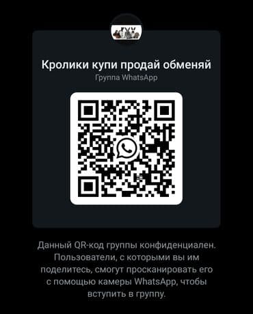 блютуз модем: QR-код для вступления в группу WhatsApp "Кролики купи продай обменяй" — 1