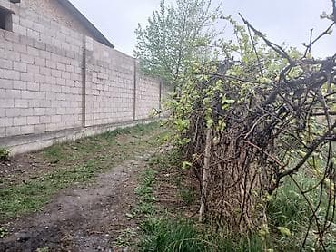 Жер тилкелери: 6 соток, Курулуш, Кызыл китеп, Сатып алуу-сатуу келишими — 2