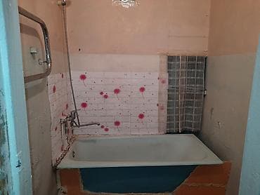 Батирлер: 1 бөлмө, Менчик ээси, Чогуу жашоосу жок, Эмерексиз — 7