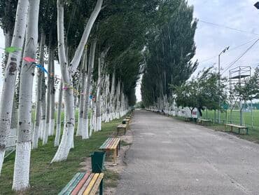 земельный дом ош: 180 м², 6 комнат, Утепленный, Бронированные двери, Видеонаблюдение — 20