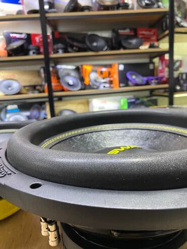 динамик пионер: Swat сабвуфер! Динамики для сабвуферов компании сват! — 10