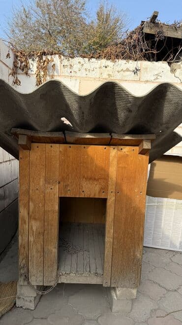 собачий дом: Будка для собаки — 2