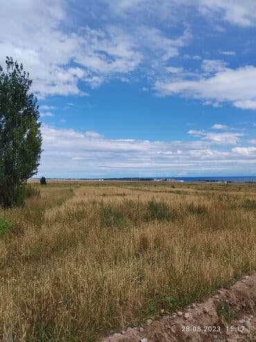 аренда дома на иссык куле: 66 соток, Для сельского хозяйства, Тех паспорт, Договор купли-продажи, Генеральная доверенность — 4