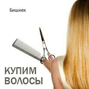 дипеляция: Куплю волосы,покупаем волосы,скупка волос,скупаем волосы,продать — 1