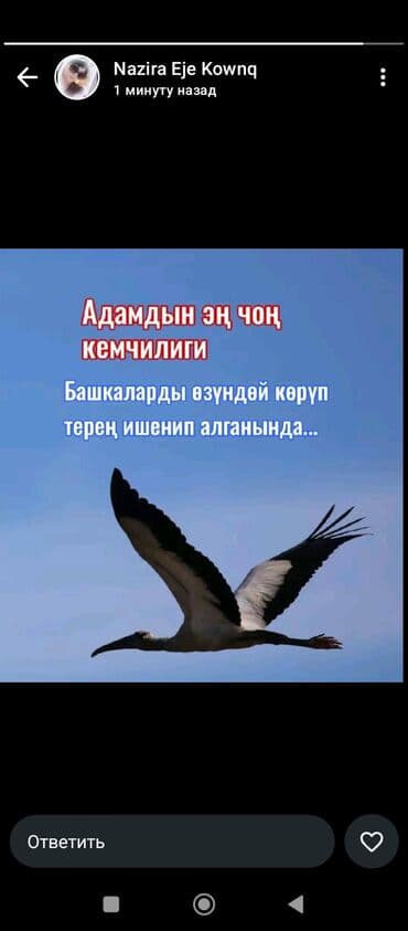 Саламатсыздарбы мага срочна жумуш керек помощница повара