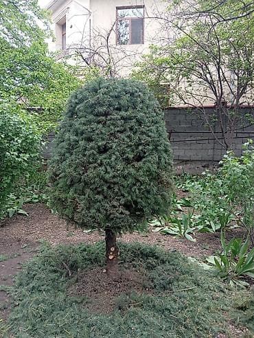 Декор для дома и сада