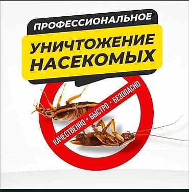 подъезд: Профессиональная дезинсекция помещений - Уничтожение домашних — 1