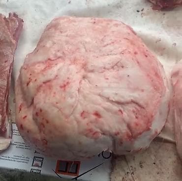 сколько стоит конина в бишкеке: Халал курдюк. Куйрук (бараний жир) Свежий, натуральный курдюк из — 1