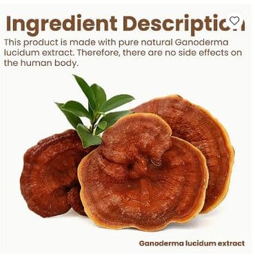 корейские бады день и ночь отзывы: ❄️ США Крем с экстрактом гриба рейши или Ганодермы интенсивный — 9