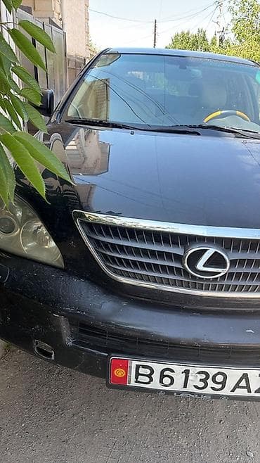 Lexus RX: 2006 г., 3.3 л, Вариатор, Гибрид, Кроссовер — 8