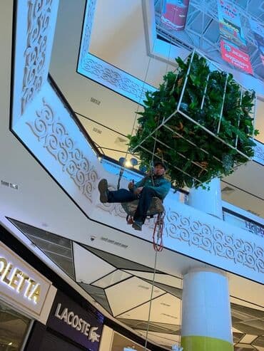 услуги шпонирования: Альпинические услуги. установка гирлянды. звёздочек. ёлок объёмные — 3