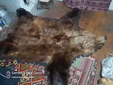 Тошоки: Ковер Настенный, Шкура — 3