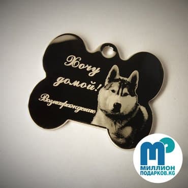 товары для кошек бишкек: Адресники-косточки: белые, золотые, серебряные с вашей надписью(имя — 1