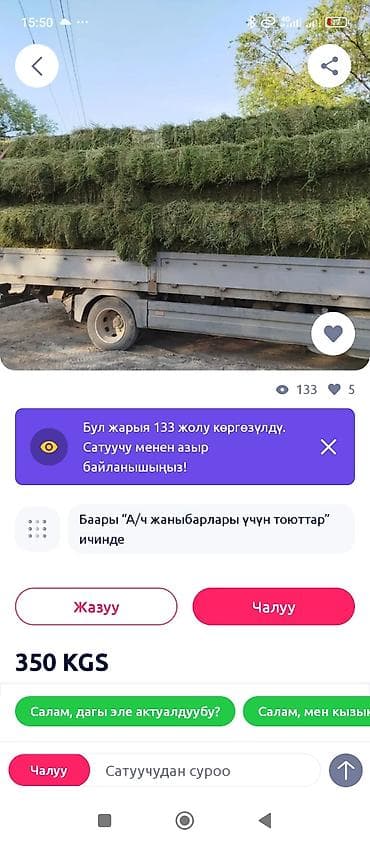 ат жаныбар: Первый год скоро будет готово чистая хорошая без лишних трав — 1
