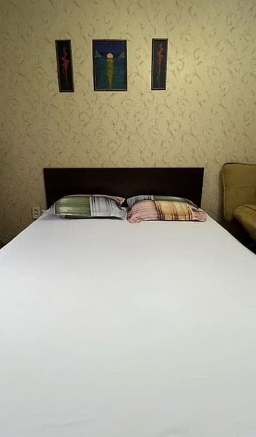 Посуточная аренда квартиры, часовая, ночь, сутки 2 часа - 1000 сом