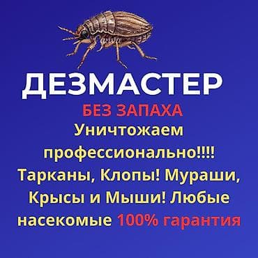Дезинфекция, дезинсекция, | Клопы, Блохи, Тараканы, | Транспорт, Офисы, Квартиры at lalafo.kg Дезинфекция, дезинсекция, | Клопы, Блохи, Тараканы, | Транспорт, Офисы, Квартиры
