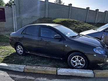 corolla: Toyota Corolla: 2004 г., 1.8 л, Механика, Газ, Седан — 2