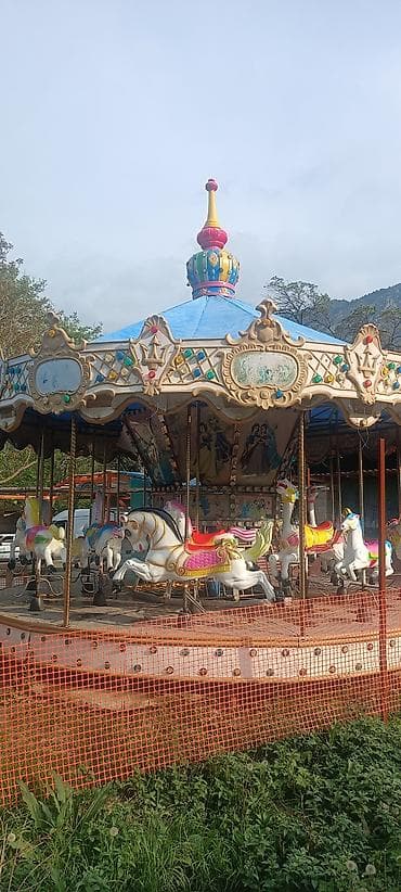 дома контейнеры: Аттракцион «Карусель-манеж» с лошадками - Классическая круговая — 4