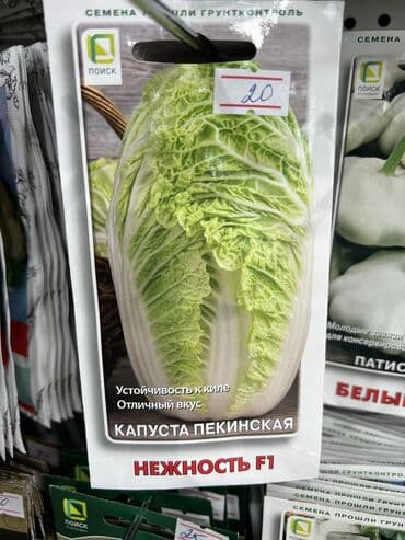 продаю овощи: Уруктар жашылчалардын: Капуста, Сабиз, Калемпирлер, Өзү алып кетүү, Акылуу жеткирүү — 13