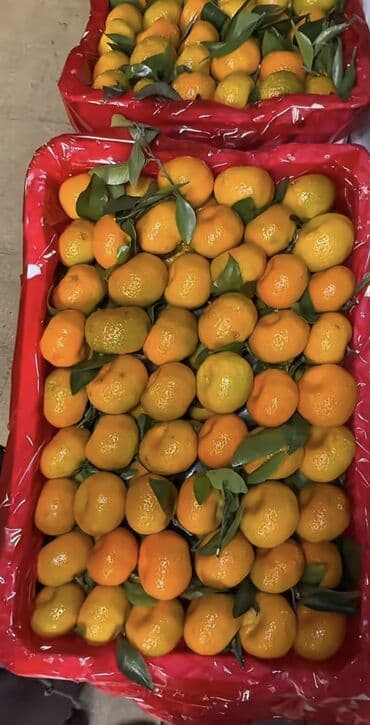 фисташковая паста купить бишкек: Мандарины Оптом, Самовывоз — 4