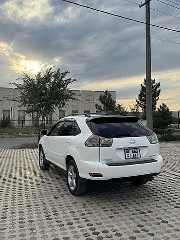 sonata d8: Lexus RX: 2004 г., Автомат, Бензин, Кроссовер — 4