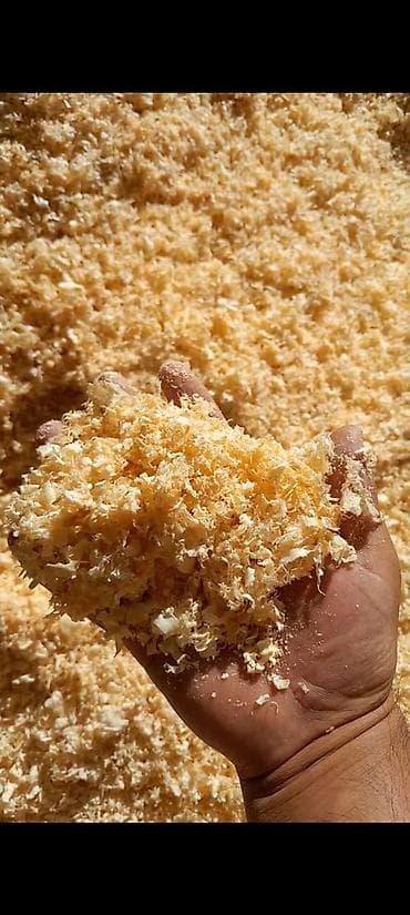 опилка: ОПИЛКА СТРУЖКА СОСНА КАРАГАЧ ТЕРЕК МДФ ДСП ДВП САТЫЛАТ ТОЛЬКО ОПТОМ — 6