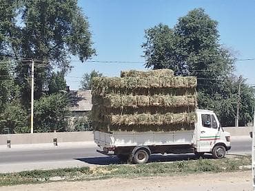 Крупы, мука, сахар: ☘️🍀🍀Продаю Клевер ✅ 2 кос 💯 качество 🚚 доставка - — 4