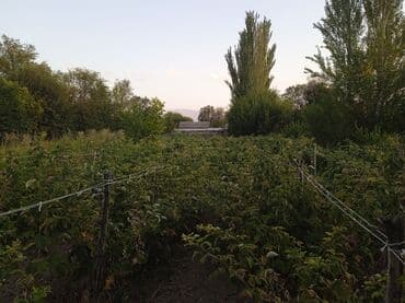 продаю дом бишкек квартира: Времянка, 53 м², 3 комнаты, Собственник — 19